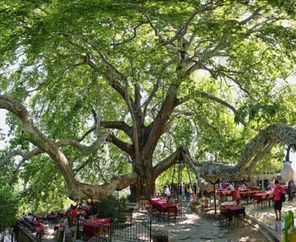 Bursa Uludağ Turu ( 2 Gece Konaklama )