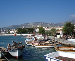 Günübirlik Nergis Zamanı Karaburun Mordoğan Balıklıova Turu