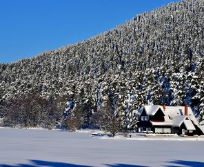 Şile Ağva Abant Gölcük Ormanya Maşukiye Gölyazı Turu