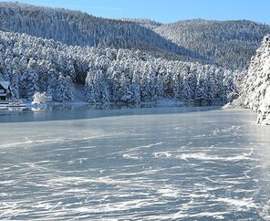 Şile Ağva Abant Gölcük Ormanya Maşukiye Gölyazı Turu