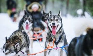 İzmir`den Direkt Uçuş Kuzey Işıkları Lapland Turu (Sömestr Özel)
