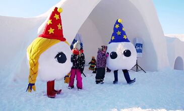 Kuzey Işıkları ve Lapland Turu İzmir`den Direkt Uçuş  (Sömestr Özel - Kampanya)