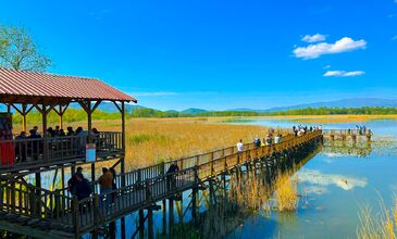 Düzce Şelaleri Efteni Gölü Akçakoca Maşukiye Turu
