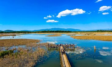 Düzce Şelaleri Efteni Gölü Akçakoca Maşukiye Turu