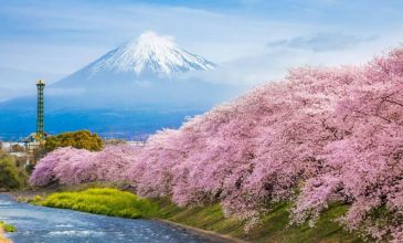 Dolu Dolu Sakura Dönemi Japonya & Kore Turu Mistik Rotalar 10 Gün 7 Gece