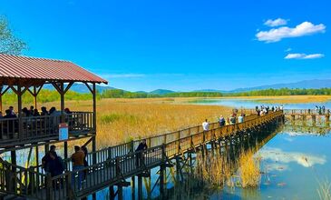 Düzce Şelaleri Efteni Gölü Akçakoca Maşukiye Turu