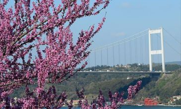Lale ve Erguvan Zamanı İstanbul Turu (2 Gece Konaklamalı)