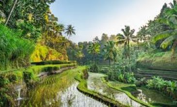 Dolu Dolu Harikalar Diyarı Bali - Ubud Turu Rotası (Türk Hava Yolları ile)